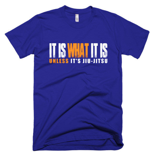 It Is What It Is men's bjj t-shirt